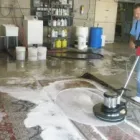 Business 4 image MERRY RUG & CARPET CLEANERS Upholstery Cleaners in West Palm Beach FL