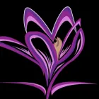 Business 2 image METICULOUS MASSAGE in Chicago IL
