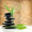 Business 1 image METROPLEX THERAPEUTIC MASSAGE Craniosacral Massage in Fort Worth TX