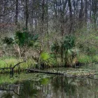 Business 3 image MIAMI BEACH WILDLIFE EXPERTS Animal Control Service in Miami FL