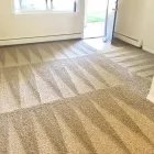 Business 1 image MIAMI CARPET CLEANING Carpet & Rug Cleaners in Miami FL
