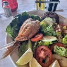 Business 11 image MIAMI NIGHTS CUBAN RESTAURANT Cuban Restaurants in Tulsa OK