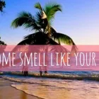 Business 2 image MICHELLE MAKES SCENTS in Houston TX