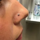 Business 8 image MILANO BODY PIERCING Tattoos & Piercings in Portland OR