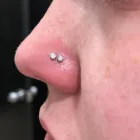Business 13 image MILANO BODY PIERCING Tattoos & Piercings in Portland OR