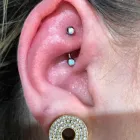 Business 20 image MILANO BODY PIERCING Tattoos & Piercings in Portland OR