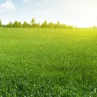 Business 3 image MILLS HOME AND COMMERCIAL SERVICES, LLC in Kingsland TX