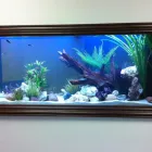 Business 1 image MILLS ORTHODONTICS in Richardson TX