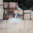 Business 2 image MINT PEST CONTROL Pest Control in Indianapolis IN