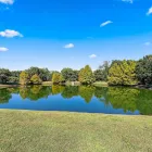Business 1 image MIRAMAR APARTMENTS in Kissimmee FL