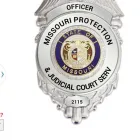 Business 2 image MISSOURI PROTECTION AND JUDICIAL COURT SERVICE in Saint Louis MO