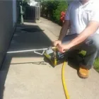 Business 11 image MITEBUSTER BEDBUG & PEST CONTROL Retail Stores in Rochelle Park NJ