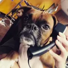 Business 2 image MOJO CREATIVE DIGITAL Web Design & Development in Baltimore MD