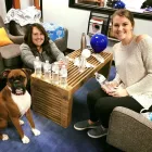 Business 8 image MOJO CREATIVE DIGITAL Web Design & Development in Baltimore MD