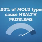 Business 1 image MOLD BUSTERS TULSA Water Damage Restoration in Broken Arrow OK