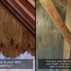 Business 5 image MOLD BUSTERS TULSA Water Damage Restoration in Broken Arrow OK