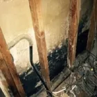 Business 1 image MOLD EXPERTS OF MISSOURI & KANSAS Testing & Research Laboratories in Kansas City MO