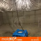 Business 1 image MOLD KO OF DALLAS in Dallas TX