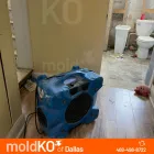 Business 3 image MOLD KO OF DALLAS in Dallas TX