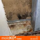 Business 5 image MOLD KO OF DALLAS in Dallas TX