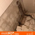 Business 6 image MOLD KO OF DALLAS in Dallas TX
