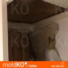 Business 7 image MOLD KO OF DALLAS in Dallas TX
