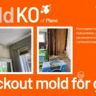 Business 1 image MOLD KO OF PLANO in Plano TX