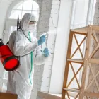 Business 3 image MOLD REMOVAL LEXINGTON SOLUTIONS Mold Testing & Removal in Lexington KY
