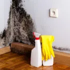 Business 5 image MOLD REMOVAL LEXINGTON SOLUTIONS Mold Testing & Removal in Lexington KY