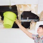Business 6 image MOLD REMOVAL LEXINGTON SOLUTIONS Mold Testing & Removal in Lexington KY