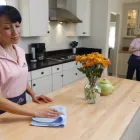 Business 1 image MOLLY MAID OF NW HOUSTON, W SPRING, TOMBALL, THE WOODLANDS Cleaning Services in Houston TX