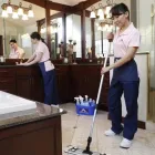Business 6 image MOLLY MAID OF SAN ANTONIO Maid Service in San Antonio TX