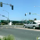 Business 1 image MONEYTREE Payday Loans in Imperial Beach CA