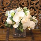 Business 15 image MONSOON FLOWERS Shopping & Retail in Cresskill NJ