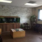 Business 1 image MOORE CHIROPRACTIC Sports Medicine & Injuries Treatment in San Antonio TX