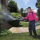 Business 2 image MOSQUITO CONTROL IN JACKSON, NJ Pest Control Services in Jackson NJ