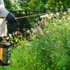 Business 1 image MOSQUITO JOE OF CENTRAL INDIANAPOLIS Pest Control Service in Indianapolis IN