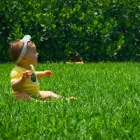 Business 3 image MOSQUITO JOE OF CENTRAL INDIANAPOLIS Pest Control Service in Indianapolis IN