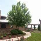 Business 1 image MOUNTVIEW TREE EXPERTS Tree Service in Fort Collins CO