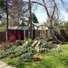 Business 2 image MOUNTVIEW TREE EXPERTS Tree Service in Fort Collins CO