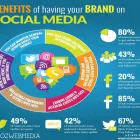 Business 2 image MOZ WEB MEDIA LLC Web Design in Chicago IL