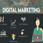 Business 18 image MOZ WEB MEDIA LLC Web Design in Chicago IL