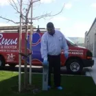 Business 3 image MR. DRAIN PLUMBING OF EMERYVILLE Plumbers in Emeryville CA