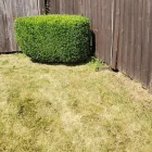 Business 16 image MR. PRESTIGE LAWN CARE PERFECTIONIST Landscape Contractors in Columbus OH