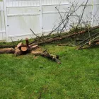 Business 17 image MR. PRESTIGE LAWN CARE PERFECTIONIST Landscape Contractors in Columbus OH