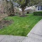 Business 21 image MR. PRESTIGE LAWN CARE PERFECTIONIST Landscape Contractors in Columbus OH