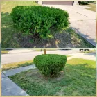 Business 22 image MR. PRESTIGE LAWN CARE PERFECTIONIST Landscape Contractors in Columbus OH