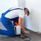 Business 6 image MR ROLAND PEST CONTROL, LLC Pest Control in Orlando FL