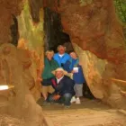 Business 5 image MUIR WOODS TOURSF Travel Services-Commercial in San Francisco CA