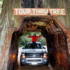 Business 1 image MUIR WOODS TOURSF Travel Services-Commercial in San Francisco CA